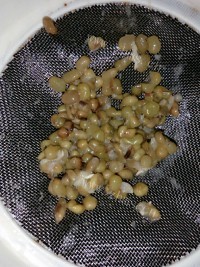 香飘十里的海带绿豆汤做法图解5)