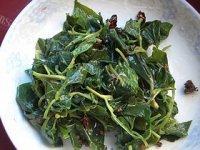 家常菜凉拌鱼腥草叶