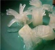 美味的橙味冬瓜菊做法图解3)