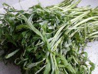 家常菜藜蒿炒腊肉做法图解1)