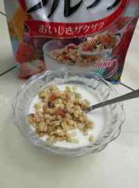 自制老酸奶