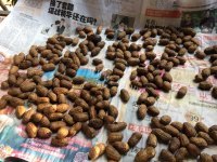 好吃的水煮花生做法图解4)