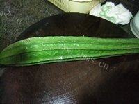 家常菜蒜蓉炒丝瓜做法图解1)