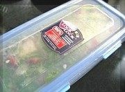 自制鲜鱼冻