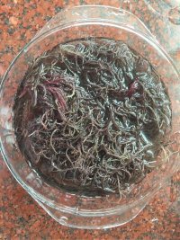 好吃的凉拌龙须菜做法图解1)