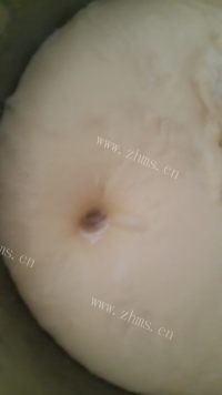 自制肉松小餐包做法图解5)