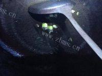 美味的西红柿鸡蛋汤做法图解6)