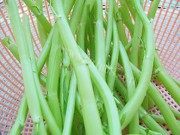 清炒空心菜梗做法图解1)
