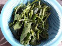 凉拌菠菜粉丝做法图解3)