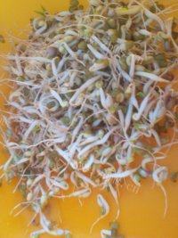 常吃不腻的凉拌菜做法图解2)