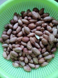 下酒菜芹菜拌花生米做法图解1)