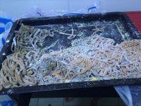 家常海带豆腐烩面做法图解2)