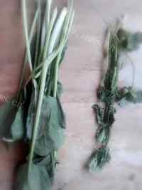 美味的菠菜蛋花汤做法图解1)