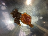 简单制作生炒牛仔骨做法图解2)
