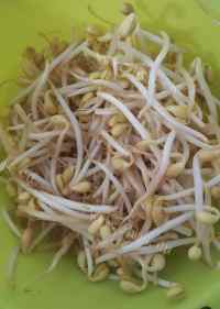 美味的排骨炖豆芽做法图解1)