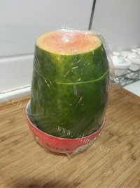 自制木瓜椰奶冻做法图解4)