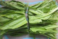 「DIY美食」豆豉油麦菜做法图解2)
