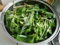 「DIY美食」凉拌苦菜做法图解1)