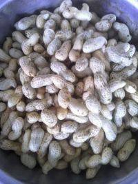 下酒菜水煮花生做法图解1)