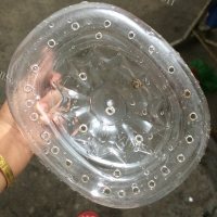 简单的淋豆芽做法图解2)