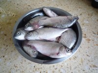 美味的酥鲫鱼做法图解1)