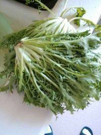 自制凉拌苦菊做法图解1)