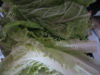 自己做的豆腐鱼做法图解3)