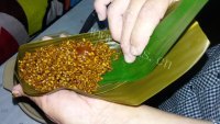 美味的家常伴黄伴肉粽做法图解8)