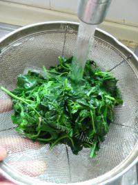 家常菜凉拌灰灰菜做法图解4)