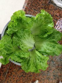 自制猪肉汉堡做法图解6)