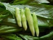 家常菜豆豉蒜蓉油麦菜做法图解1)