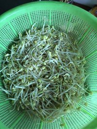 家常菜清炒豆芽做法图解2)