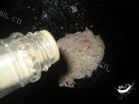让人怀念的土豆泥做法图解7)