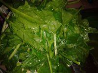 「DIY美食」清炒菠菜做法图解2)