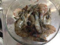 「DIY美食」番茄虾做法图解1)