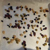 自制抹茶蜜豆蛋糕卷做法图解6)