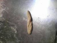麻花做法图解9)