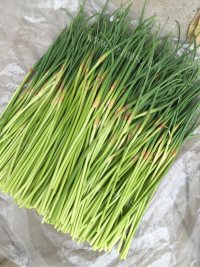 美味的蒜苔炒扁粉丝做法图解2)