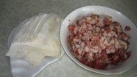 自己做的荠菜肉馄饨做法图解1)