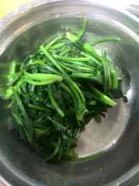 特色美食凉拌菠菜做法图解4)