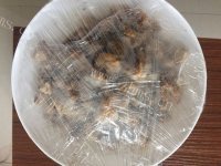 好吃的黄焖土豆鸡块做法图解3)