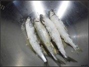 香煎多春鱼做法图解3)