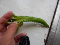 家常菜虎皮青椒酿肉做法图解2)