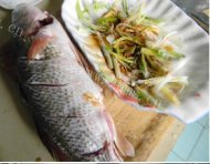 「健康美食」清蒸鲈鱼做法图解2)