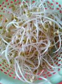 好吃的油渣炒豆芽做法图解1)