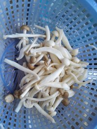好吃的青椒炒双菇做法图解1)