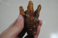 美味的酱蒸凤爪做法图解7)