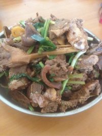 美味的焖鸭