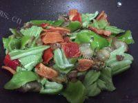 家常菜尖椒回锅肉