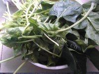 自制美食菠菜猪肝汤做法图解1)